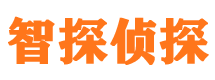 沈河市私人侦探